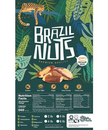 The Amish Eco-Farm Medium Brazil Nuts - Raw & Fresh 5lb Jar - Buy Online on GoSupps.com