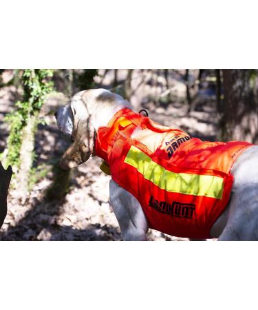 CANIHUNT Dog Protection Vest - Durable Dog Armor v2 (80) for Ultimate Safety | International Shipping - Buy Online on GoSupps.com