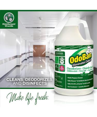 OdoBan Professional 1 Gal Eucalyptus Odor Eliminator & 1 Gal BioLaundry Enzyme Detergent - 2 Pack - Buy Online on GoSupps.com