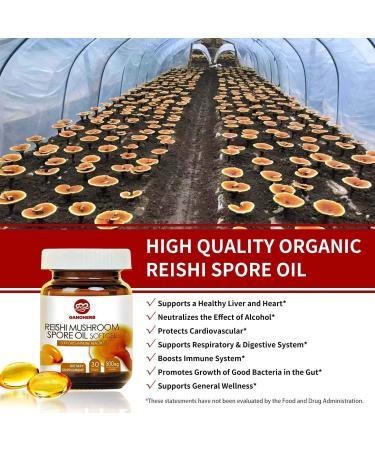 GANOHERB Organic Reishi Mushroom Spore Oil Supplement-USDA Ganoderma Lucidum Extract Capsule-Immune System Natural Energy for Wellness&Liver Support-Vegan Non-GMO Gluten Free 30 Veggie Softgels - Buy Online on GoSupps.com