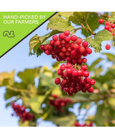 Sun Dried Whole Cranberries 16oz - Sweetened Dehydrated Fruit Snack | All Natural, Vegan, Kosher Certified - Buy Online on GoSupps.com