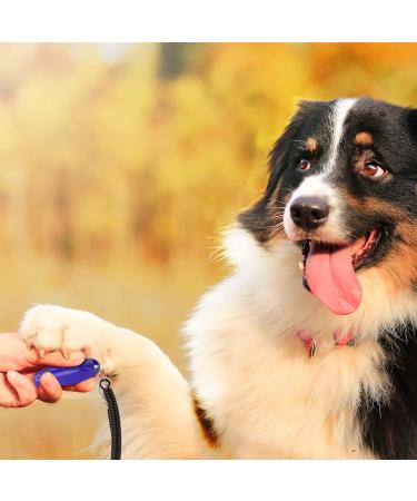 Truepets 2in1 Dog Clicker & Whistle | Effective Dog & Cat Training Clicker | Ideal for Pet Education - Buy Online on GoSupps.com