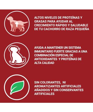 Purina One Junior Dog Chicken and Rice 1500 g - Buy Online on GoSupps.com