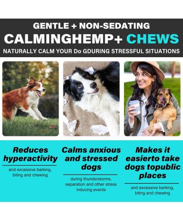 Bieyoc Calming Chews for Dogs - 150 Duck Chews for Anxiety, Barking, Stress Relief & Hyperactivity - Buy Online on GoSupps.com