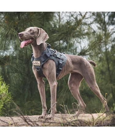 OneTigris Tactical Dog Vest | MOLLE Service Dog Harness | 1000D Nylon | Large | Grey - Ideal for Training & Outdoor Adventures - Buy Online on GoSupps.com