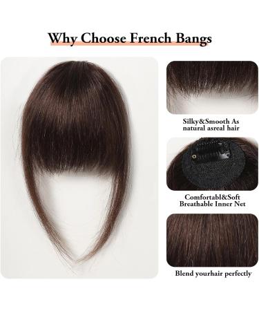 Bangs Hair Clip 100% Human Hair Bangs Natural Brown Bang Hair Clip in Bangs Fringe with Temples Hairpiece for Women Clip on Air Bang 4.5in Bangs Clip in Hair (Color : HLH1004-2) - Buy Online on GoSupps.com