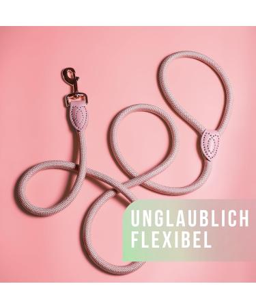 Ne & No Touleine Training Leash for Large Dogs - 1.7m Hand Loop Braided Rope City Leash in Mauve - Buy Online on GoSupps.com