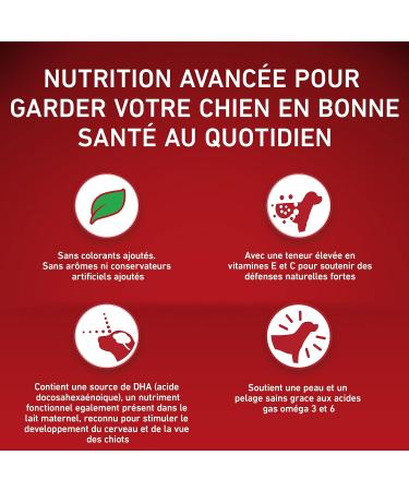 ONE - Dog - Junior - Rich in Chicken - 2.5kg - Pack of 4 - Buy Online on GoSupps.com