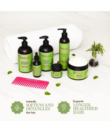 Mielle Organics Rosemary Mint Strengthening Shampoo and Conditioner with Biotin - Buy Online on GoSupps.com