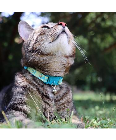 Kittyrama Botanical Collars for Cats & Kittens - Award-Winning Hypoallergenic Soft & Comfortable Veterinarian Approved Breakaway Design - Buy Online on GoSupps.com