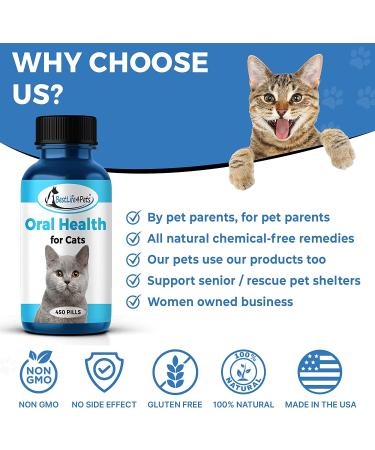 BestLife4Pets Oral Health for Cats - Dental Care Supplement for Stomatitis, Gingivitis & Gum Disease - Anti-inflammatory Pain Relief - 450ct Easy-to-Use Pills - Cat Supplies - Buy Online on GoSupps.com