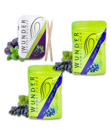 Wonder Toothpick Starter Bundle - Flavored TOOTHPICKS - 2X Refill + 1X METALLBOX - Tasty TOOTHPICKS (Grape-Mint/Traube-Minze) Grape mint/grape mint