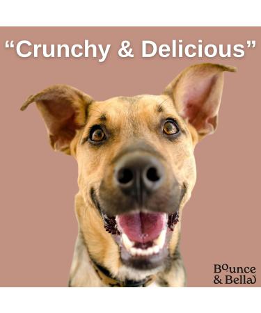 Bounce and Bella Grain Free Training Treats made with Freshly Prepared Ingredients (1 Poultry & 1 Fish 2 Pack 1000g) - Buy Online on GoSupps.com