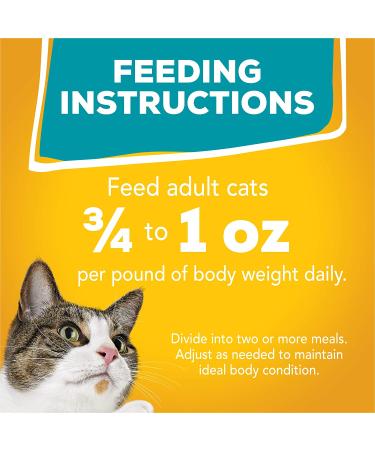 Purina Friskies Cat Food 5.5 oz. Cans Yellow - Pack of 12 - Buy Online on GoSupps.com