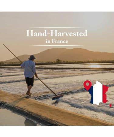 1lb Celtic Sea Salt - (454g) | 100% Organic Unrefined Celtic Salt | Rich in 82+ Essential Minerals | Hand Harvested Light Grey Coarse Celtic Salt Crystals from France - Buy Online on GoSupps.com