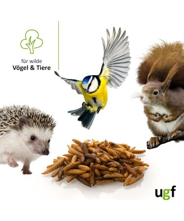 UGF Soldier Fly Larvae (500g) - Superior to Dried Mealworms - 85x Calcium - Ideal Treats for Birds Turtles Rodents & More - Buy Online on GoSupps.com