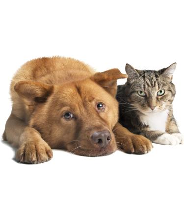 Worm Free Globules for Pets - Natural Worming Treatment for Dogs & Cats - 10g | International Shipping - Buy Online on GoSupps.com