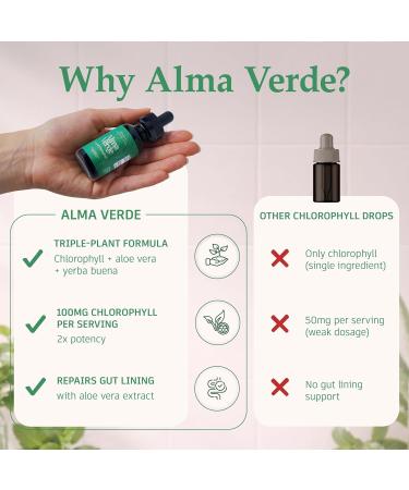 Alma Verde Liquid Chlorophyll Drops - Chlorophyll Water with Aloe Vera Juice for Body Odor Bloating Relief & Gut Health - Natural Deodorant Alternative for Women - Skin Glow & Detox - Vegan - 30ml - Buy Online on GoSupps.com