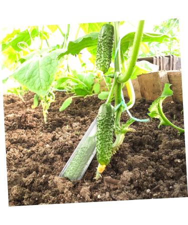 Abaodam 8 Pcs Shaped Strawberry Tool Fruit Molds Heart Fruit Shaping Chocolate Accessories - Buy Online on GoSupps.com