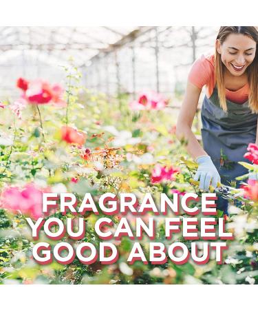 Glade PlugIns Rose & Bloom Air Freshener Refills - 5 Count Pack, 3.35 Fl Oz - Scented Essential Oils for Home & Bathroom - Buy Online on GoSupps.com