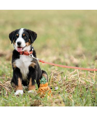 Rubberized Neon Orange Dog Leash - 300 cm (3 m) - No Hand Loop - Durable & Lightweight - Buy Online on GoSupps.com