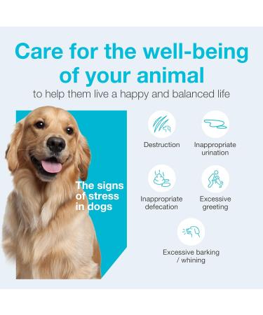 Vetoquinol Zylkene Veterinary Health Product - Calm and Relaxed Behaviour in Pets During Stressful Events - 75 mg - Cats and Small Dogs - 30 Caps Cats and Small Dogs 30 Caps - Buy Online on GoSupps.com