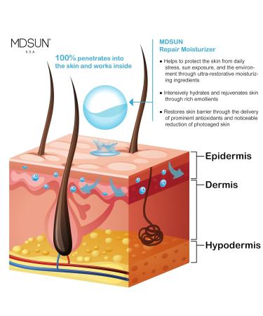 MDSUN Repair Moisturizer | Anti-Aging Face Cream for Wrinkles & Fine Lines | Brightening Antioxidant Formula with SPF | Shop Internationally - Buy Online on GoSupps.com