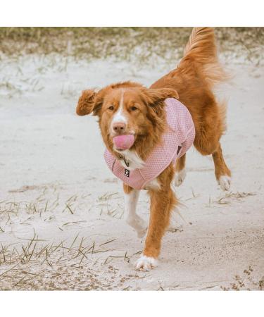 Hurtta Cooling Wrap Vest for Dogs - Summer Cooling Jacket in Carnation Pink (45-55cm) | Perfect for Hot Weather - Buy Online on GoSupps.com