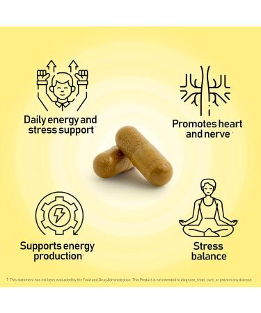 NANOWELL B Complex Premium(12BOXES) - Full Spectrum of B Vitamins for Energy Heart & Immune Support - B-Complex Supplement with Adaptogens - 60 Capsules 60-Day Supply X12 - Buy Online on GoSupps.com