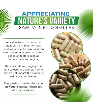 Saw Palmetto 1500mg Capsules with Extract for Men and Women - 120 Count | Advanced Nutrition Labs - Buy Online on GoSupps.com