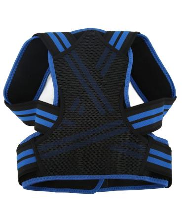 Posture Corrector Back Straightener Belt Support Elastic Comfortable Brace for Men Women (Blue) L Blue - Buy Online on GoSupps.com