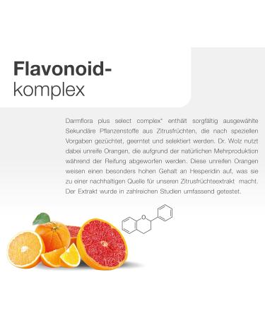 Darmflora Plus Select Complex Dr. Wolz - 160 Billion Bacteria/Day 23 Strains Flavonoid Complex 40 Capsules | International Shipping - Buy Online on GoSupps.com