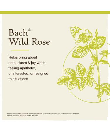 Bach Wild Rose Flower Remedy 20mL Dropper - Natural Holistic Stress Relief | Vegan Formula - Buy Online on GoSupps.com