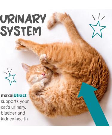 maxxipaws maxxiUtract Urinary and Bladder Supplement for Cats to help Prevent UTI Recurrence and Support Optimum Urinary Tract Health Cranberry Powder 60g 60 g (Pack of 1) - Buy Online on GoSupps.com