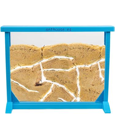 AntHouse - Natural Sand Ant | Medium Red 3D Set (Sandwich + Food Box) | Including Ant Colony - Buy Online on GoSupps.com