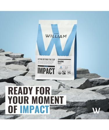 Organic Whole Bean Coffee | Specialty Grade Certified Fair Trade Drip V60 Pour Over Filter | Caf William Sustainably Roasted in Canada - Impact 340.00 g (Pack of 3) Impact 340 g (Pack of 3) - Buy Online on GoSupps.com