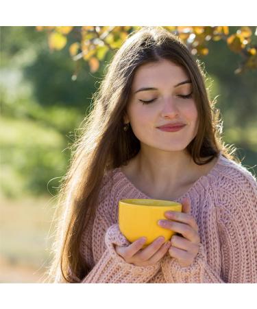 MediNatura BHI Cold, Flu, and Sinus Relief Bundle BHI Cold +Flu Multi-Symptom Relief Tablets (100) + BHI Sinus Natural Congestion Relief Tablets (100) - Buy Online on GoSupps.com