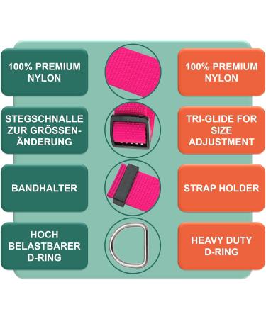 Dey Premium Adjustable Dog Collar | Nylon Neck Bands for Small & Large Dogs | Multiple Colors & Sizes | Pink Rosa S - 1.5 x 27-37 cm - Buy Online on GoSupps.com