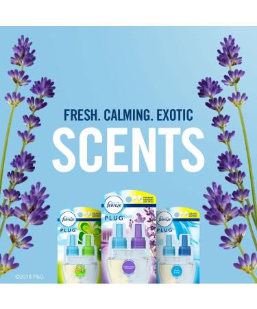 Febreze Plug Starter Kit - Long-lasting Odor Elimination for a Fresh Home - Buy Online on GoSupps.com