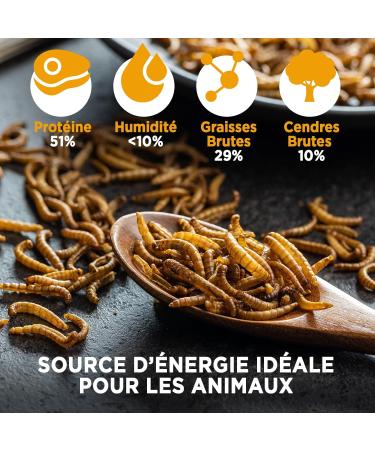 Dried Meal Worms - 160g 1L - Food for Fish Birds Turtles Hedgehogs Rodents and Reptiles - Buy Online on GoSupps.com