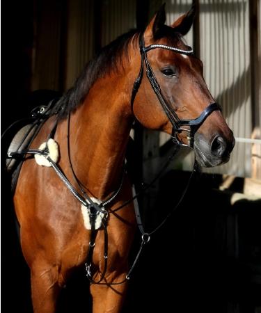 Tysons Breeches 5 Point Breastplate - Halla Lambskin Rhinestone Glitter Leather Black with Martingale for Thoroughbreds - International Shipping Available - Buy Online on GoSupps.com