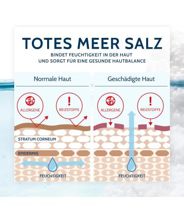 Salthouse Dead Sea Therapy Fresh Shower with Lemongrass Fragrance for Refreshing Cleansing 250 ml - Buy Online on GoSupps.com