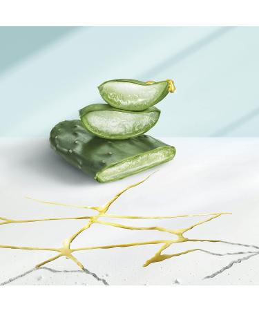 DERMAxPRO by Head & Shoulders APAISE Soothing Anti-Dandruff Shampoo For Dry Hair and Itchy Scalp With Cactus Extract Aloe Vera and Vitamin E 6x225 ml - Buy Online on GoSupps.com