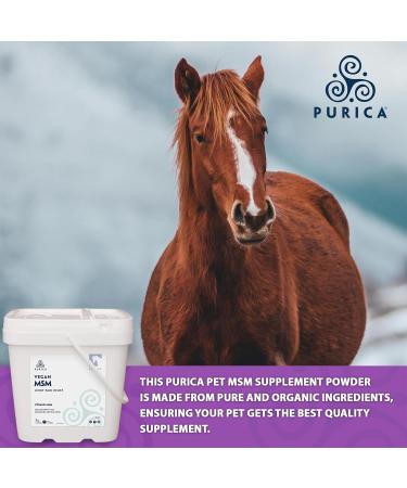 Purica Pet Pure MSM Powder - Vegan Supplement Organic Methylsulfonylmethane - 5kg 5 kg (Pack of 1) - Buy Online on GoSupps.com