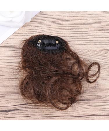 minkissy 1pc Front Hair Fringe Flat Bangs Clip in Bangs Wig with Bang Clip Hair Fringe Clip in Fringe Afro Wig Bangs Clip in Hair Extensions Hair Tassel Fake Bangs Woman Small Roll Size 1 Picture 2 - Buy Online on GoSupps.com