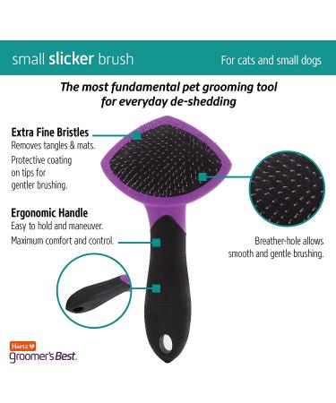 Hartz Groomer's Best Slicker Brush for Cats & Small Dogs - Detangles & Deshedding for All Coat Types - Buy Online on GoSupps.com