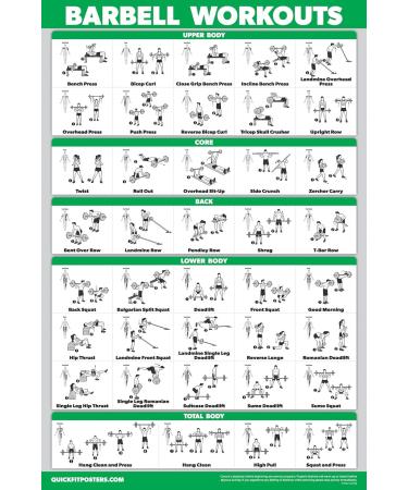 Buy Palace Learning Exercise Poster Set - Dumbbell Resistance Bands & More | International Shipping - Buy Online on GoSupps.com