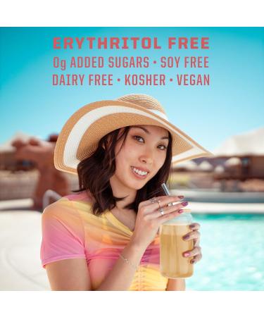 Electrolyte Powder Hydration Packets B12 Elderberry | Strawberry Lemon Twist Flavored 18 Stick Packs Box | Vegan and Plant-Based Sugar Free - Buy Online on GoSupps.com