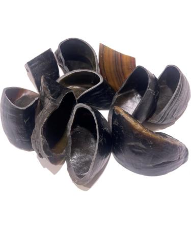 Cow Hooves for Dogs - *(Large 20 Pack Cow Hooves)* - Beef Hooves Dog CHEW Treat - 100% All Natural Free Range Beef - Long Lasting Large Premium Cow Hooves - Buy Online on GoSupps.com