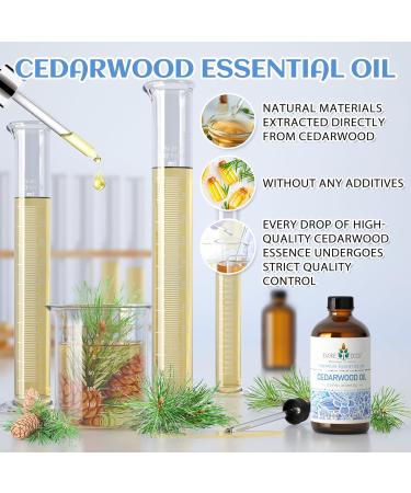 EVOKE OCCU Cedarwood Essential Oil and Lime Essential Oil - 4 Fl Oz - Buy Online on GoSupps.com